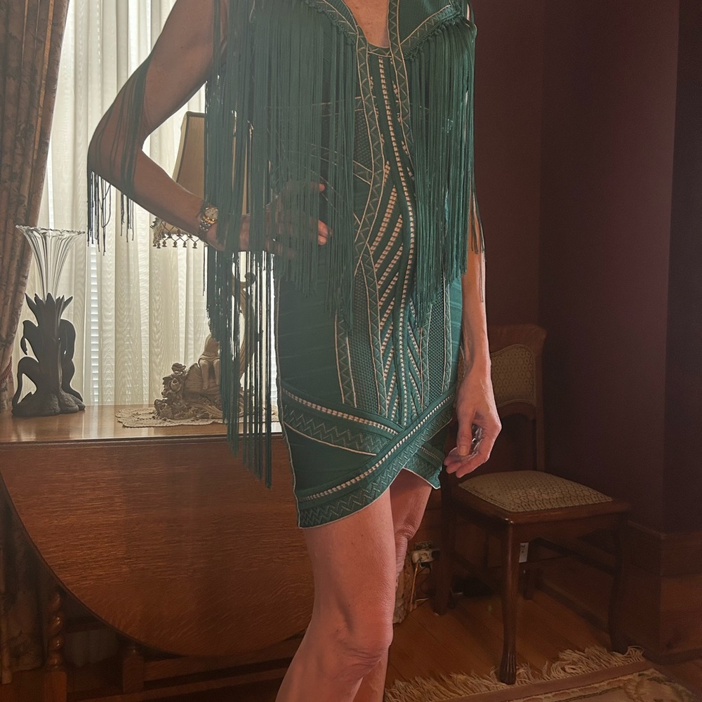 Herve Leger Chic Green Fringe Dress